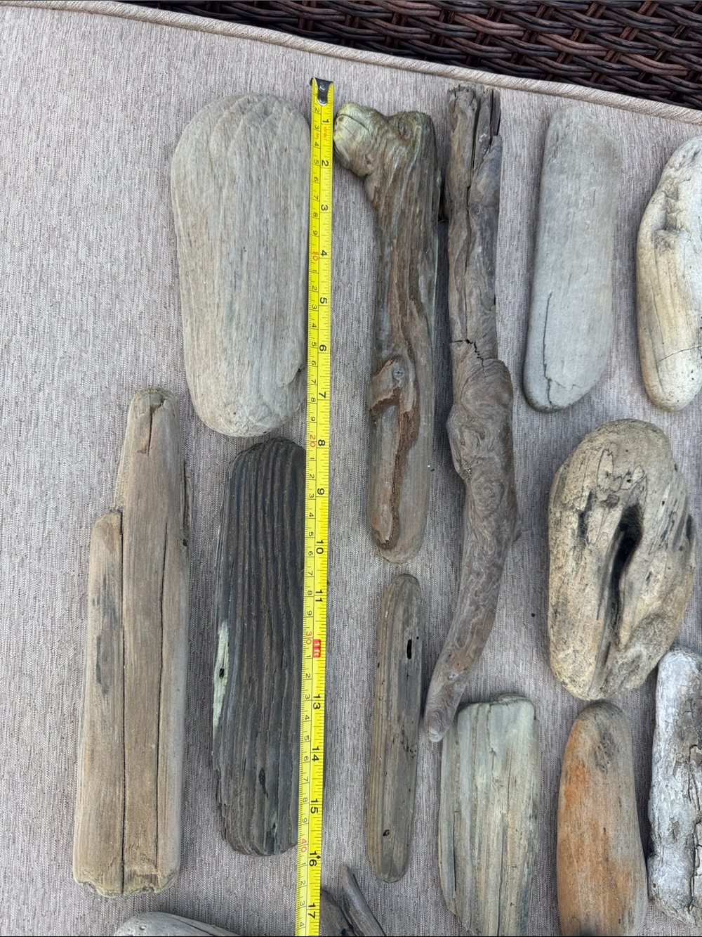20 Pacific Beach Natural Driftwood Collection - Assorted Beach Wood Pieces - Picture 2 of 10